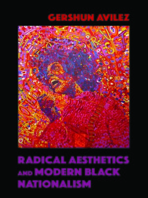cover image of Radical Aesthetics and Modern Black Nationalism